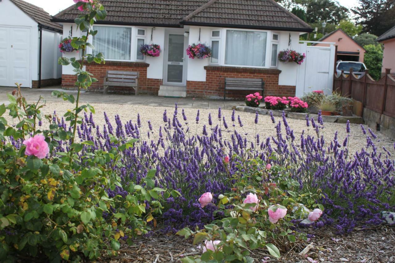 Avon Breeze Bed and Breakfast Christchurch  Eksteriør billede